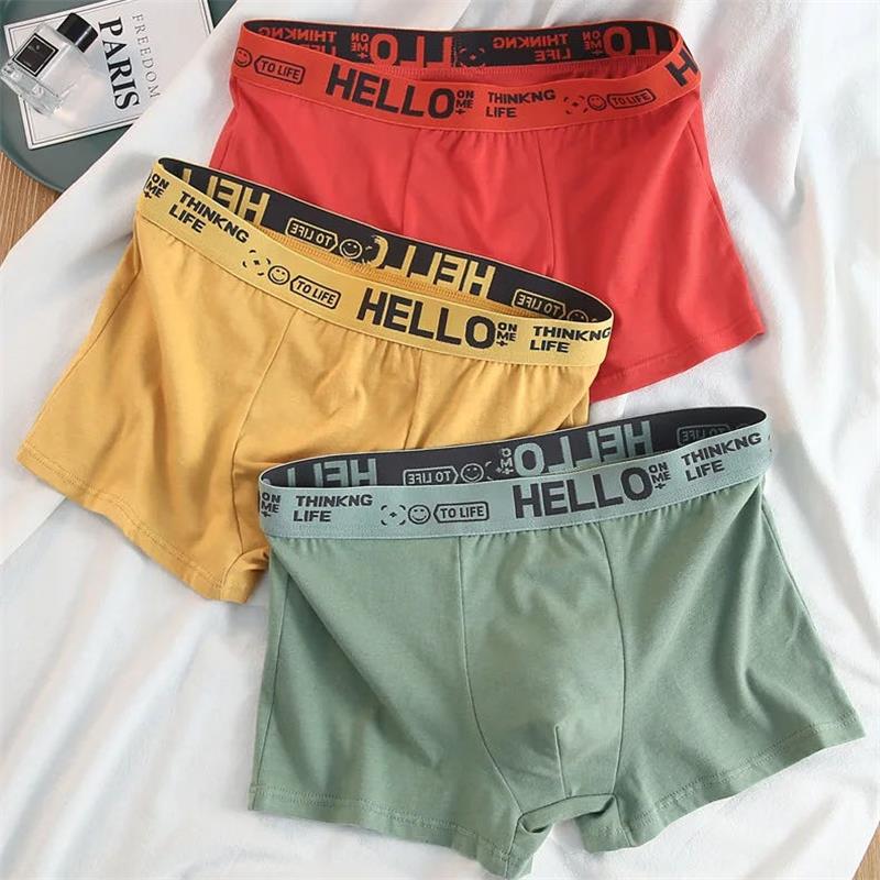 10Pieces/ Men's Underwear Men  - Boxer Brief Pack Cotton 评论和价格