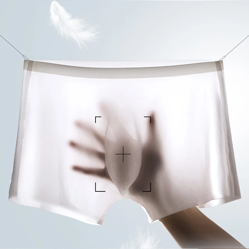 10 Pcs/Lot Men's Summer Ice Si - Multi Pack Underwear 评论和价格