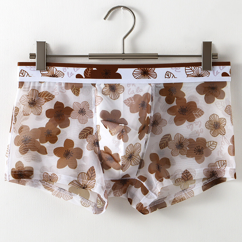 Ultra Thin Transparent Ice Sil - Mesh Sport Boxer 评论和价格