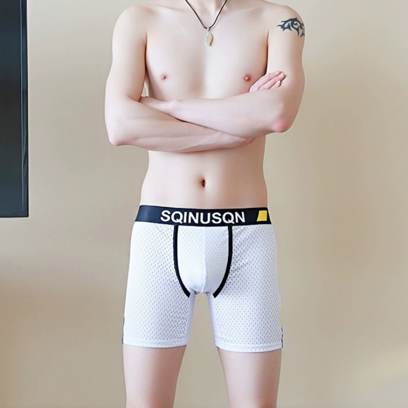 Men's Ice Silk Mesh Boxer Brie - Mesh Sport Boxer 评论和价格